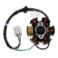 STATOR 6 CEWEK ATV110