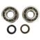 ŁOŻYSKA WAŁU YAMAHA YZF 250 01-13 WRF 250 01-13