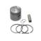TLOK JUNAK R2 75.50 KOMPLETNY