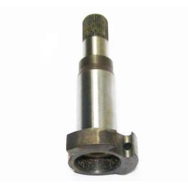 WALEK STARTERA STANDARD JUNAK WALEK STARTERA STANDARD JUNAK