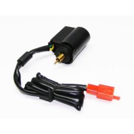 ELEKTROZAWOR SSANIA GAZNIK SKUTERY 4T WILGA ELEKTROZAWOR SSANIA GAZNIK SKUTERY 4T WILGA