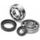 ŁOŻYSKA WAŁU HONDA CRF 250R 04-13 CRF 250X 04-13