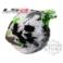 KASK LS2 MX433.43 BLAST W/B GREEN ROZMIAR XL