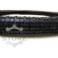 OPONA 17-2,25  F872 2PR T/T AWINA