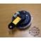 SYGNAL 12V OSLONA PLASTIKOWA Z ORLEM AA0032