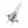 ZAROWKA 12V 55W H7 PX26D NIGHT RACER +50%