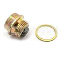 SRUBA SPUSTU OLEJU MAGNETYCZNA M18X1,5 3210021 SRUBA SPUSTU OLEJU MAGNETYCZNA M18X1,5 3210021