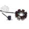 STATOR 5 KABLI SHOTGUN