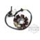 STATOR WILGA