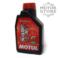 OLEJ MOTUL SCOOTER 2T EXPERT 1 L